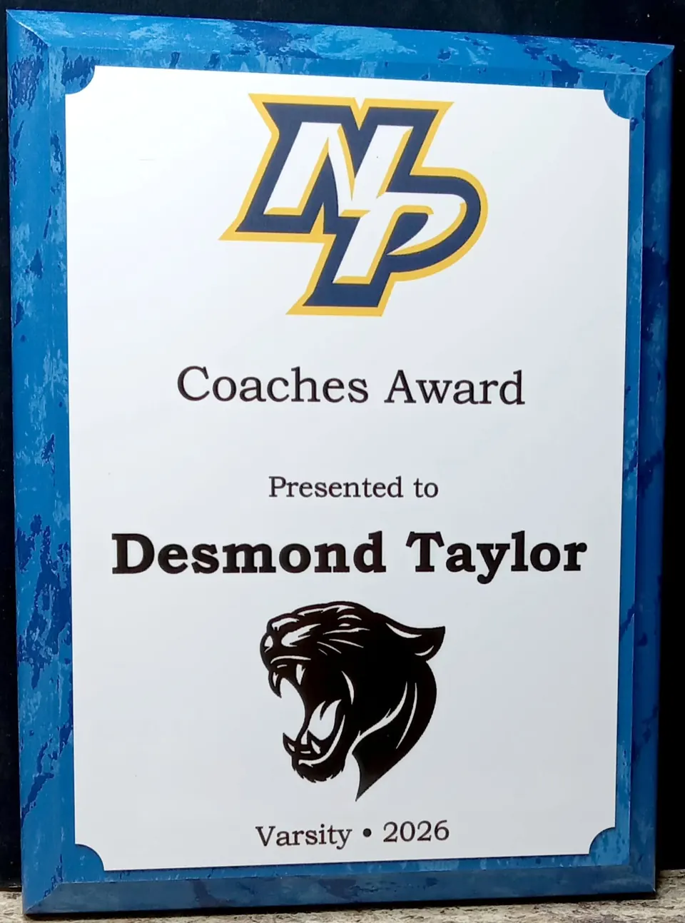 Blue marble Coaches Award plaque