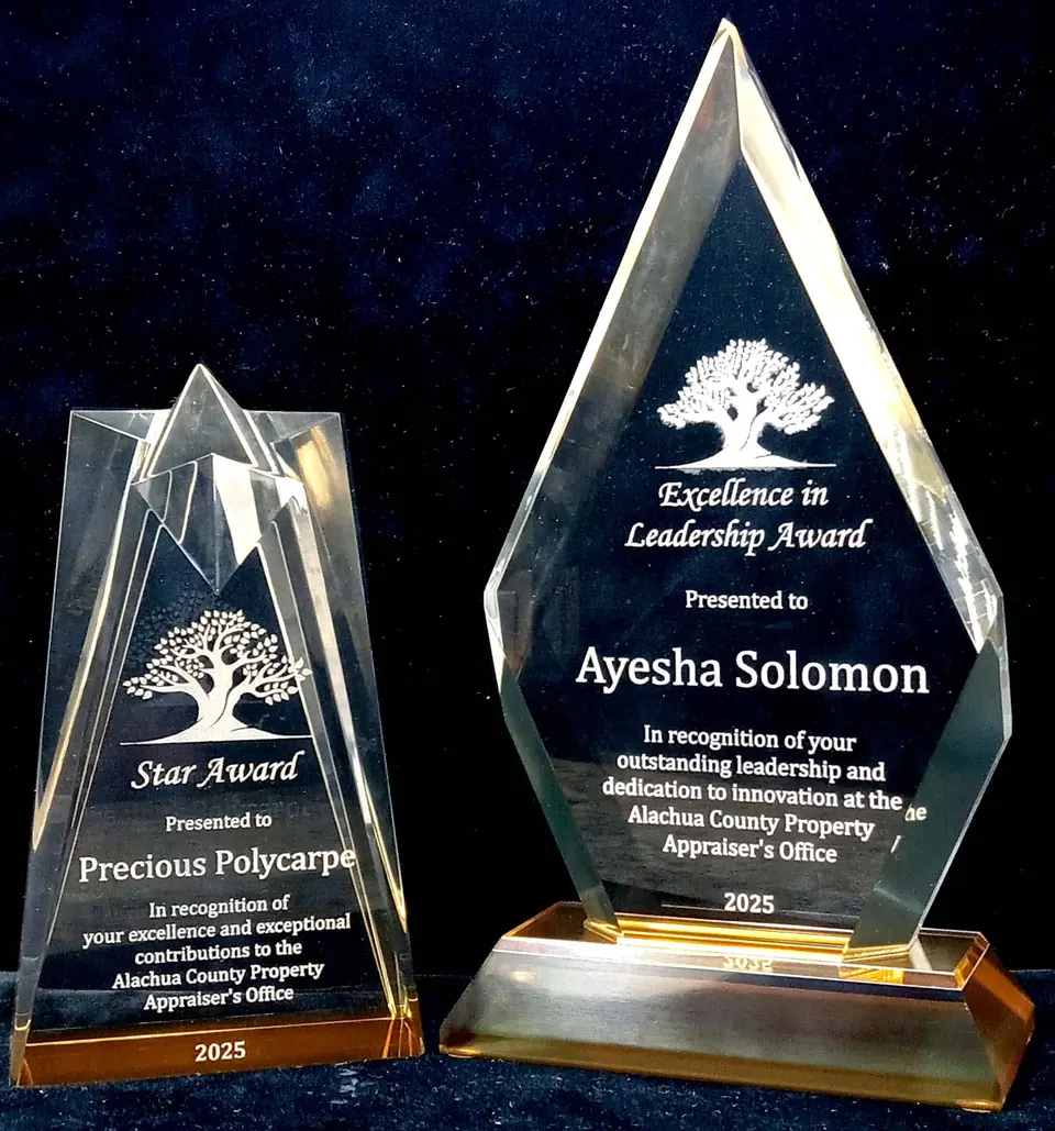 Crystal Star Award and Excellence in Leadership award
