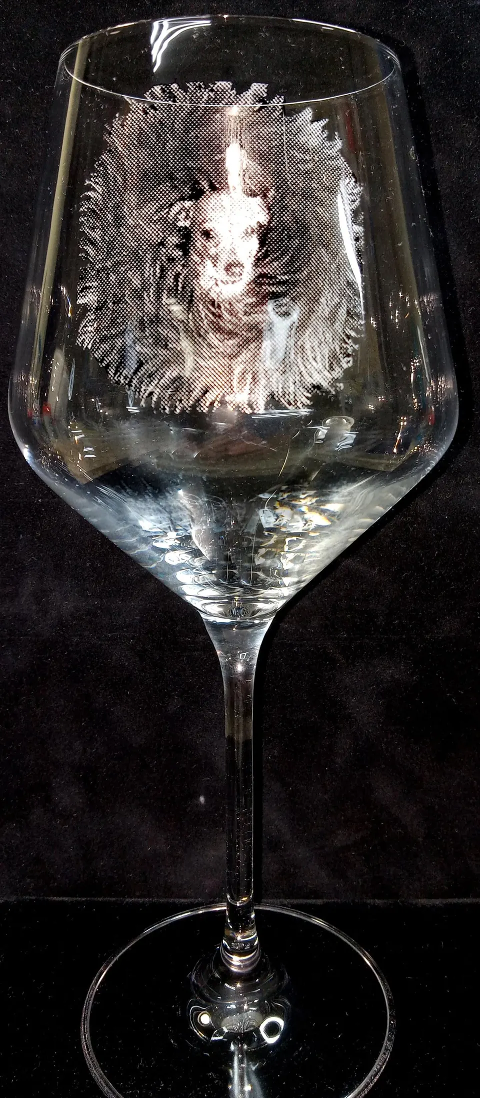 Wine glass engraved with a pet portrait